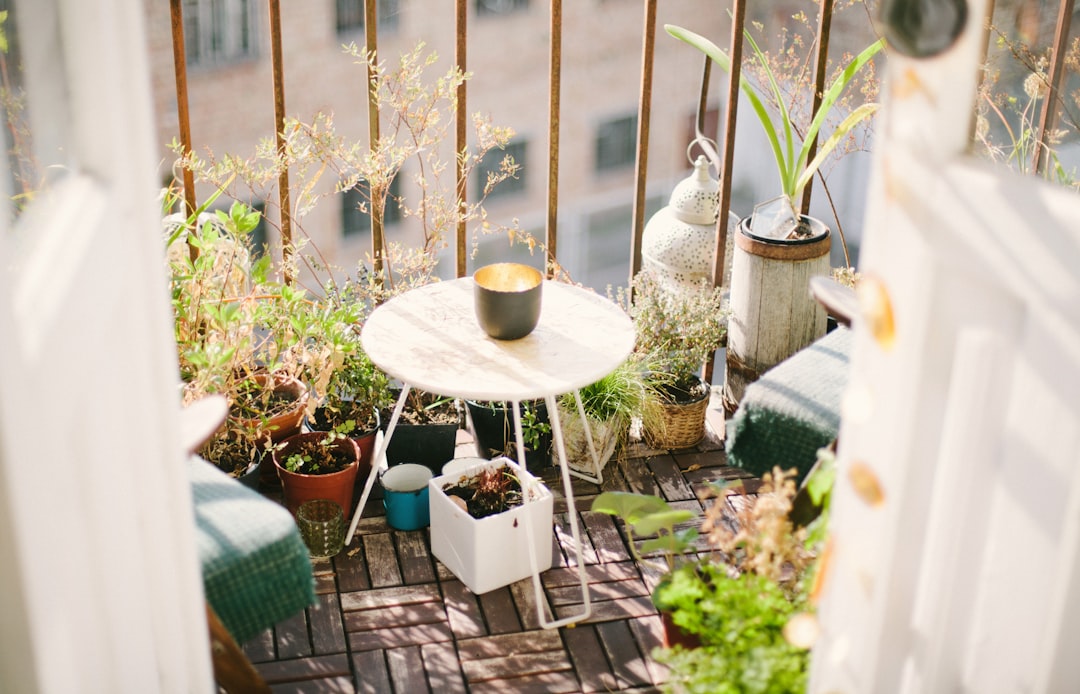Guide pratique : comment créer un jardin urbain sur votre balcon