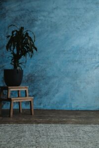 photo-1575883018111-e59071f0ce0e